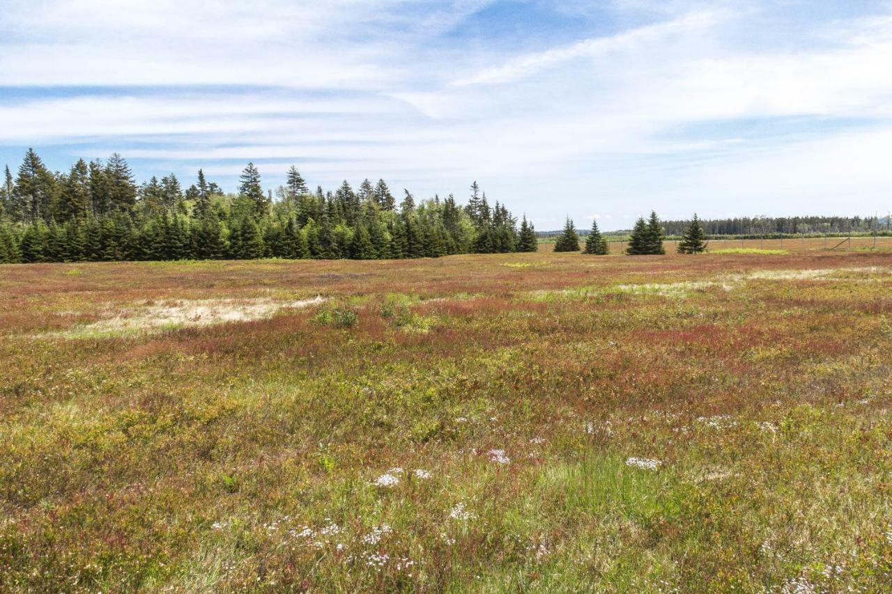 Fox Point Inn Parrsboro Екстер'єр фото